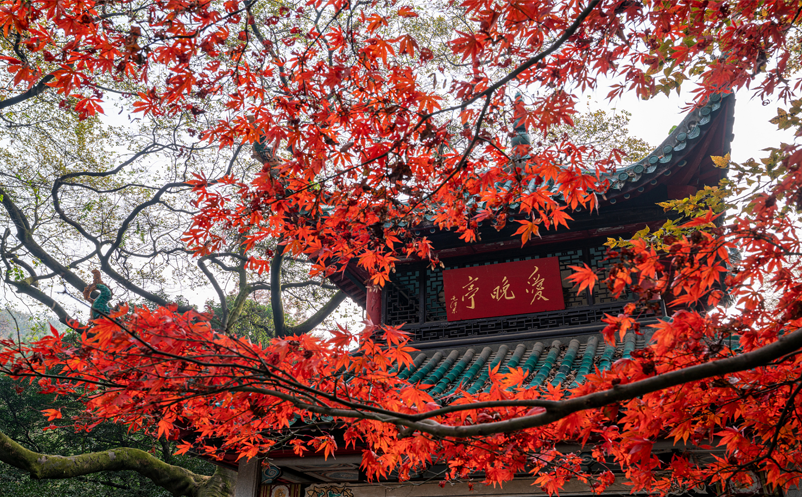 易景通助力岳麓山建设无感通行智慧票务系统 易景通助力岳麓山建设无感通行智慧票务系统