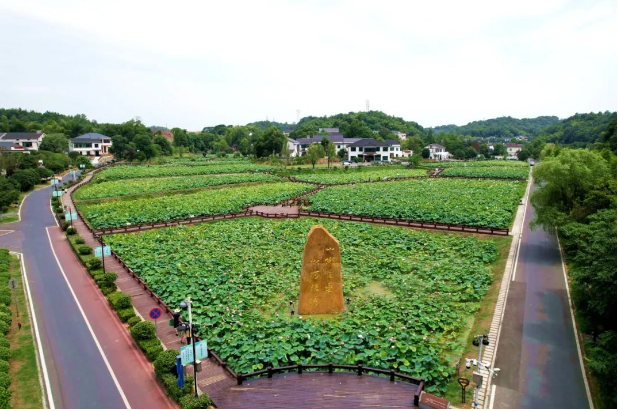 益阳推出8条“游购乡村”活动线路,提升旅游消费