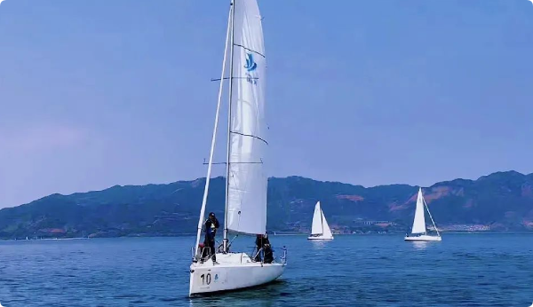 QQ_1740116931242.png