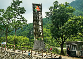 description 